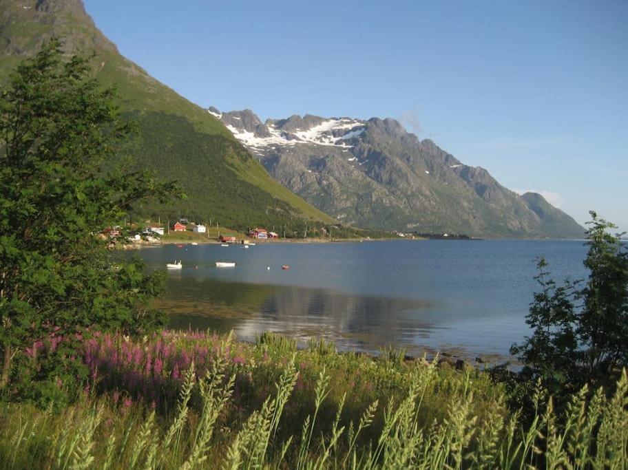 Charming House By The Sea, Lofoten! Laupstad Eksteriør billede